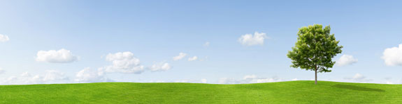 Environment-Industry-Bannerh=150,w=575