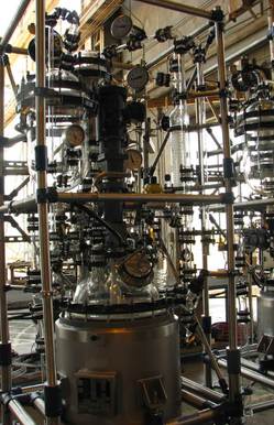 API kilo plant
